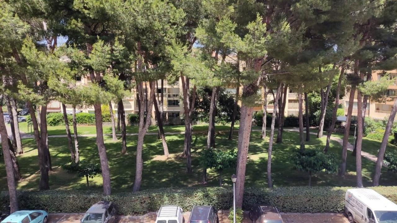 Bel Appartement Avec Piscine Proche Des Plages Six-Fours-les-Plages Eksteriør bilde